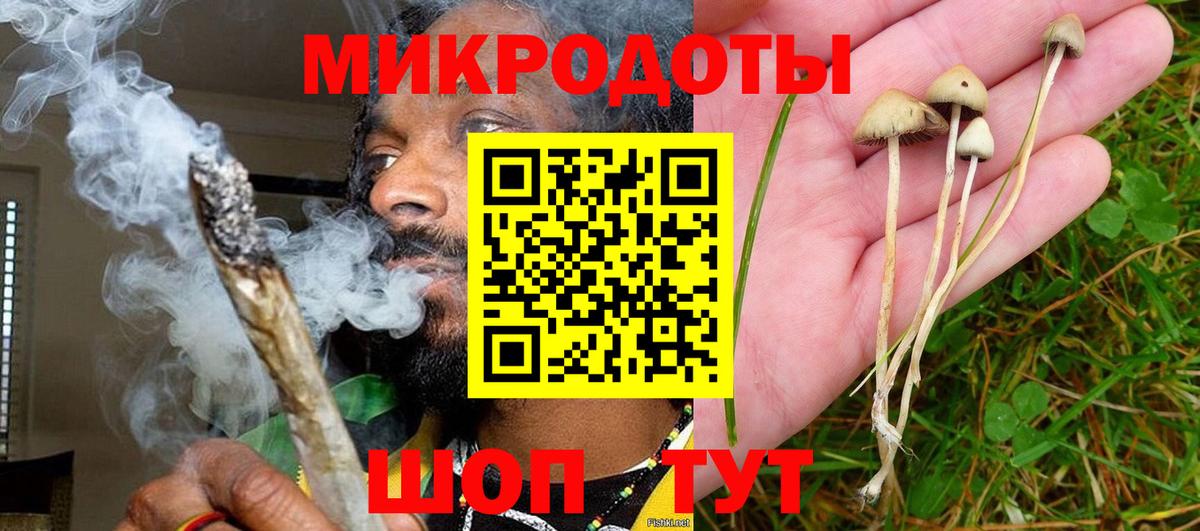 Галлюциногенные грибы Psilocybine cubensis  Галлюциногенные грибы Cubensis  Вход с VPN  Медногорск 
