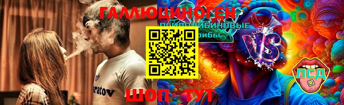 Галлюциногенные грибы Psilocybe Медногорск